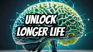 24 Hours to Higher BDNF Levels The Ultimate Challenge Starts Now!