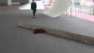 Enjoi skate team 2010