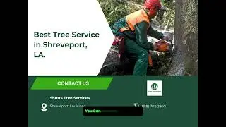 Best Tree Service in Shreveport, LA