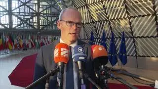 Ireland 'supportive' of EU-Ukraine training mission! Simon Coveney explains!