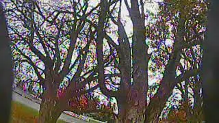 Dna Fpv SoFpv Gap Challenge