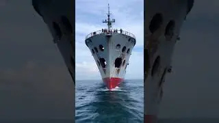 The fleet that rammed the Japanese patrol boat is back#shipping ##cargoship #ship#boating #shorts