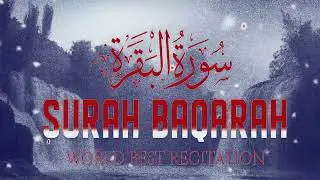 Surah Baqarah Full Beautiful Arabic Voice #surahbaqarah 