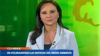 Investigadores aseguran que las jirafas ahora integran la lista de especies vulnerables.