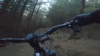 Golfie’s newest trail,.. Mega!