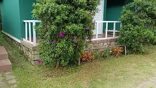 KFDC Surianelli 