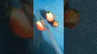 Greenhouse Strawberries
