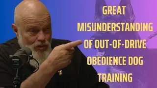 Great Misunderstanding of Out of Drive Obedience Dog Training