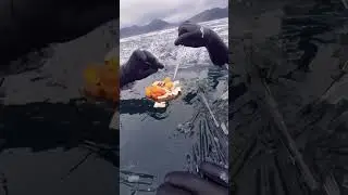 Swims in a Sea of Ice Needles in Siberia's Lake Baikal the deepest lake in the world