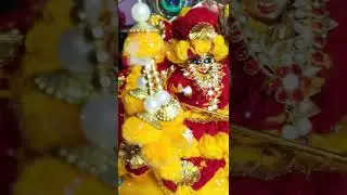 krishna bhajan status new#krishnanew status video#radhakrishnastatus ##krishna best status#laddubabu