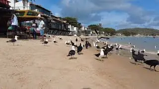 Búzios