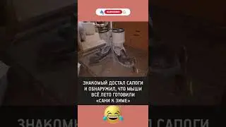 #смех #юмор #мем #прикол