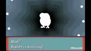 Rowlet evolution 😎🤩