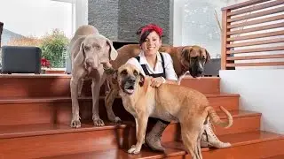 Adriana Bottina, la casa de su inspiración