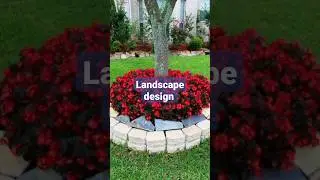landscaping ideas|beautiful landscaping around tree|decoreideas #shorts #shortvideo #landscaping
