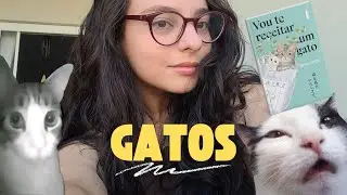 Um gato resolve todos os problemas? - resenha :)))