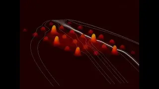 Falko Schmidt: Dynamic 3D Optofluidic Control as a Platform for Microfluidic Applications