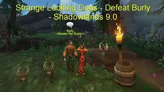 Strange Looking Dogs - Defeat Burly - Shadowlands 9.0