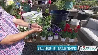Garden Guy Dale K discusses annual planters I KMSP FOX 9