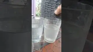 Getah Katilayu Asli alam katanya klo di rendam di air garam dia mengapung?