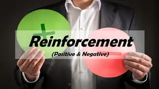 What is Reinforcement | Positive & Negative Reinforcement