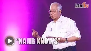 Wong Chin Huat: Najib's reaction proves that 'Malay tsunami' is real