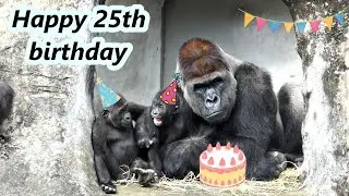 Happy 25th birthday to D’Jeeco!!  / 祝福 大猩猩爸爸迪亞哥25歲生日快樂 !
