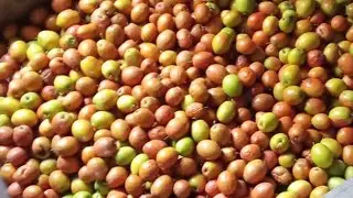 Santosh Kumari is live!जय मां भवानी जीण माता कि जय हो