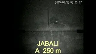 VISION NOCTURNA LRS 100 DIGITAL JABALI 250 M