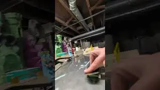 nollie flip #fingerboard #radfb #fingerboardtv #fingerboarding#fingerskateboard