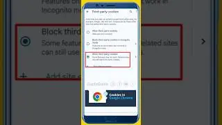How to Actually 🤓 Use Chrome's Cookie 🤔 Settings #chrome #shorts  #tipsandtricks #guptaguide