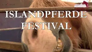 Islandpferde Festival 2019 Zweibr&uuml;cken