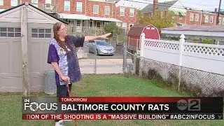 Baltimore County residents are dealing with increasing rat population in their neighborhoods