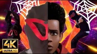 IS THIS THE REAL MILES? -KILOMETER MORALES MIGHT BE IN THE SPIDER VERSE-  🖤
