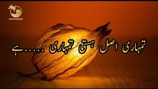Aqwal e Zareen - Anmol Aqwal- Urdu Best Quotes about Life