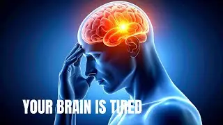 This Is Why You Can&rsquo;t Focus Anymore