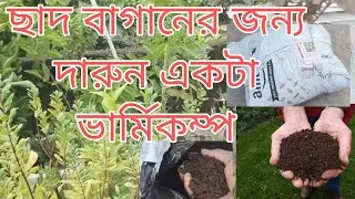 organic vermicompost online order । ছাদ বাগানের জন্য ভার্মি কম্পোস্ট
