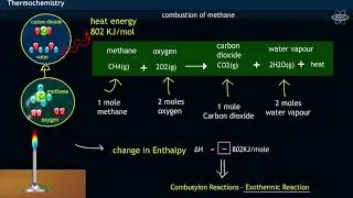 Thermochemical Equations