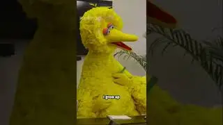 What's Big Bird Doing Here? #comedy #bigbird #sesamestreet #writersroom