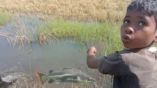 amazing fish trap।simpal fish trap making।fishing trap। big cat fish ।fishing techique