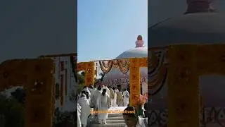 तेरी शिक्षायें और प्यार  | Tapsya Dham (Dhantivan) #shantivanlive #brahmakumaris #shantivan