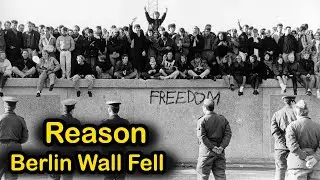 Reason Berlin Wall Fell in 1989