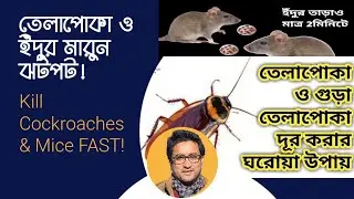 Kill Cockroaches & Mice FAST with Homemade Remedy | তেলাপোকা ও ইঁদুর মারুন ঝটপট! | DIY Pest Killer
