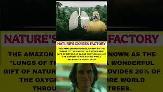 🌿 Amazon: Earth&rsquo;s Green Lungs 🌍     #AmazonRainforest #LungsOfTheEarth #NatureLovers #SaveTheAmazon