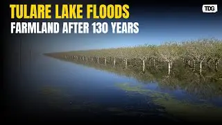 Tulare Lake Returns After 130 Years, Submerging 94,000 Acres of Farmland