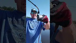 МАГНИТНАЯ РЫБАЛКА И ОЧИСТКА ВОДОЕМОВ #shortsfeed #magnetfishing #fishing