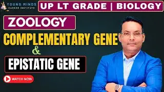 Non Allelic Interaction | Complementary Gene | Epistasis