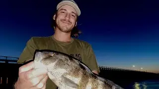 Fishing River Jetty With Live Bait!!! (Huntington Beach)