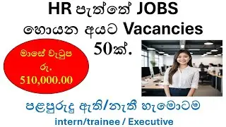 HR Job Vacancies in Sri Lanka: Intern, Trainee, and Executive Level Opportunities