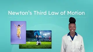 Newton's Third Law of Motion - Action and Reaction